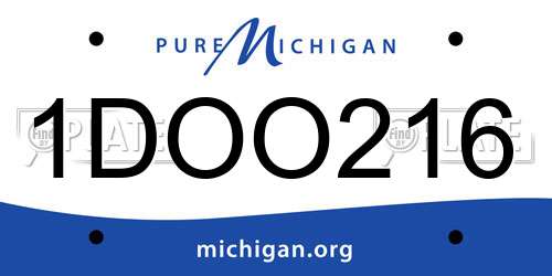 1DOO216 Michigan License Plate