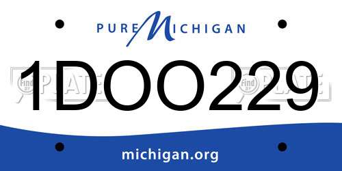 1DOO229 Michigan License Plate