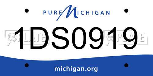 1DS0919 Michigan License Plate