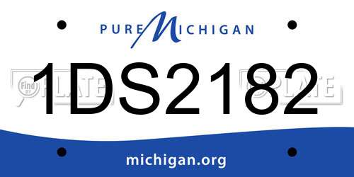 1DS2182 Michigan License Plate