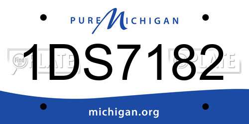 1DS7182 Michigan License Plate