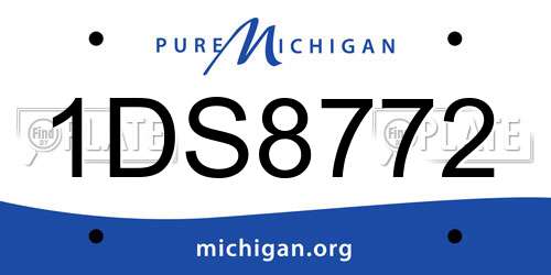 1DS8772 Michigan License Plate