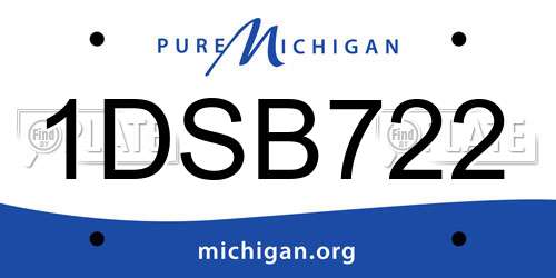 1DSB722 Michigan License Plate