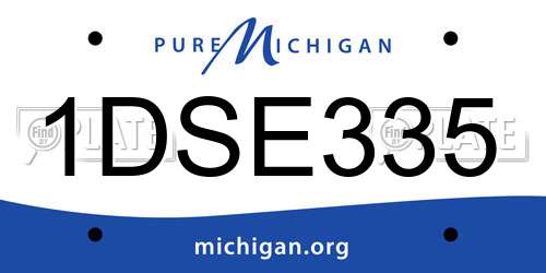 1DSE335 Michigan License Plate
