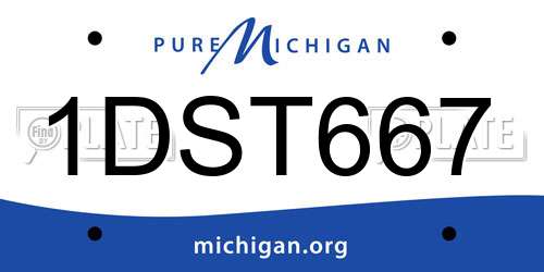 1DST667 Michigan License Plate