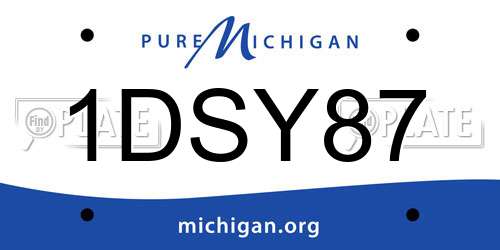 1DSY87 Michigan License Plate
