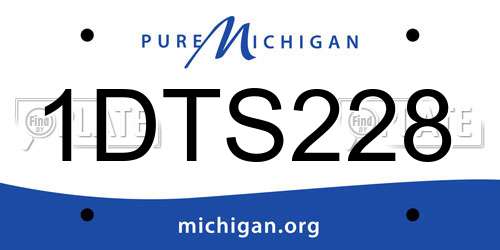 1DTS228 Michigan License Plate