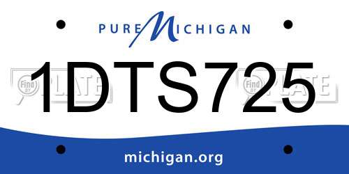 1DTS725 Michigan License Plate