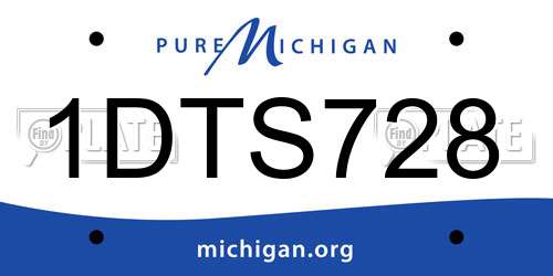 1DTS728 Michigan License Plate