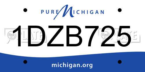 1DZB725 Michigan License Plate