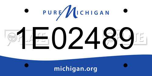 1E02489 Michigan License Plate