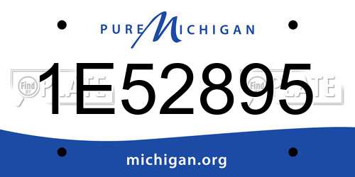 1E52895 Michigan License Plate