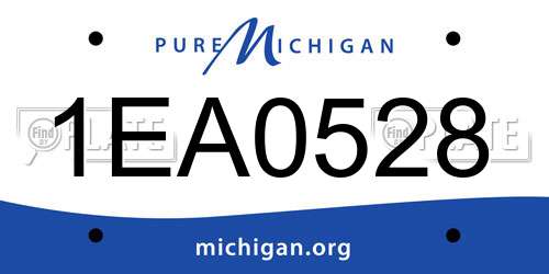 1EA0528 Michigan License Plate