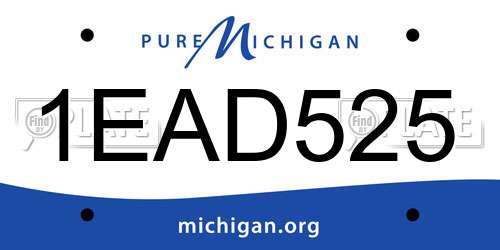 1EAD525 Michigan License Plate