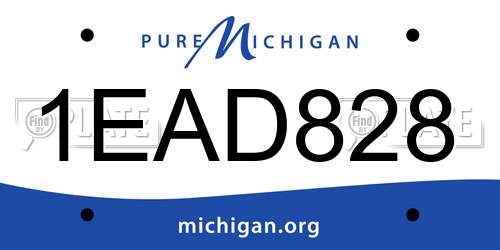 1EAD828 Michigan License Plate