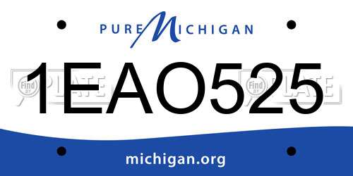 1EAO525 Michigan License Plate