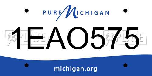 1EAO575 Michigan License Plate