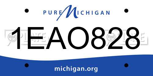1EAO828 Michigan License Plate
