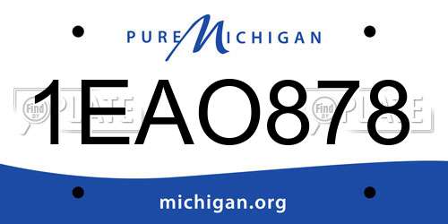 1EAO878 Michigan License Plate