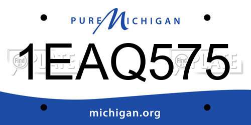 1EAQ575 Michigan License Plate