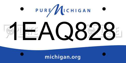 1EAQ828 Michigan License Plate