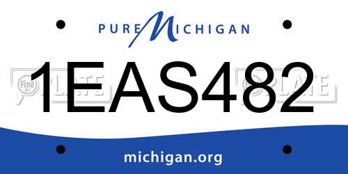 1EAS482 Michigan License Plate