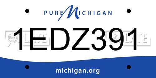 1EDZ391 Michigan License Plate