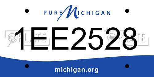 1EE2528 Michigan License Plate