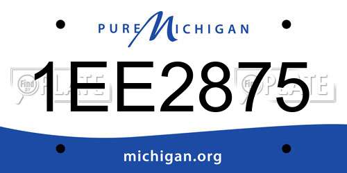 1EE2875 Michigan License Plate