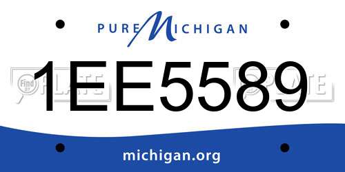 1EE5589 Michigan License Plate