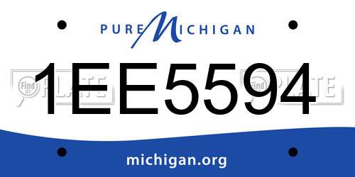 1EE5594 Michigan License Plate