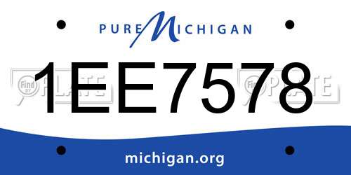 1EE7578 Michigan License Plate