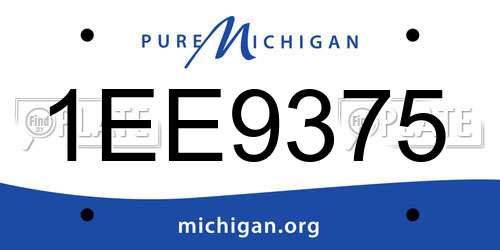 1EE9375 Michigan License Plate