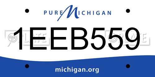 1EEB559 Michigan License Plate