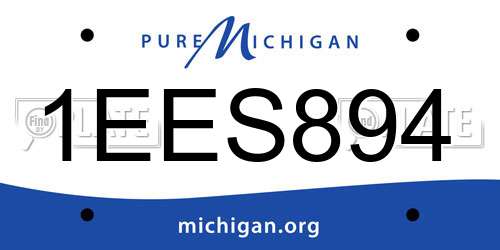 1EES894 Michigan License Plate