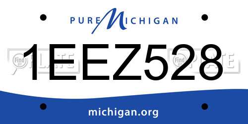 1EEZ528 Michigan License Plate