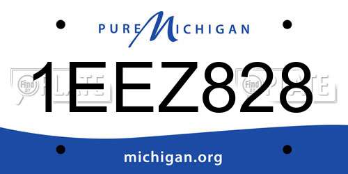 1EEZ828 Michigan License Plate