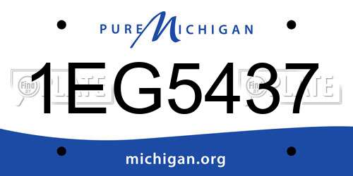1EG5437 Michigan License Plate