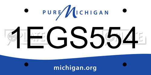 1EGS554 Michigan License Plate