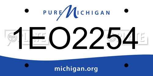 1EO2254 Michigan License Plate