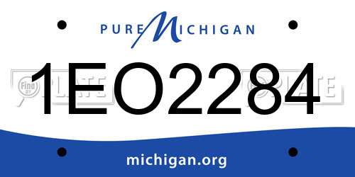 1EO2284 Michigan License Plate