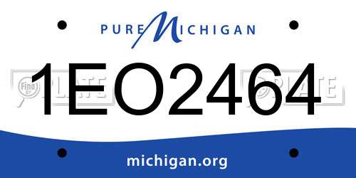 1EO2464 Michigan License Plate
