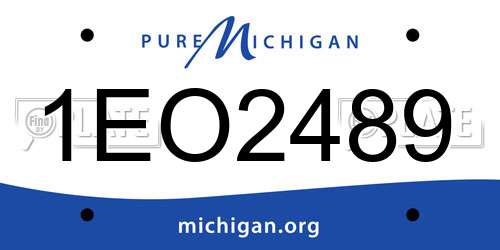 1EO2489 Michigan License Plate