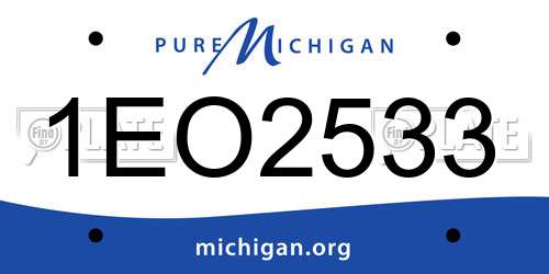 1EO2533 Michigan License Plate