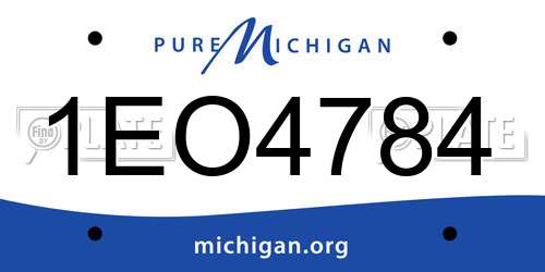 1EO4784 Michigan License Plate