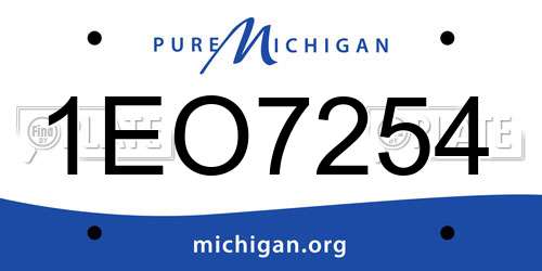 1EO7254 Michigan License Plate