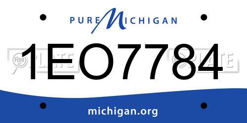 1EO7784 Michigan License Plate