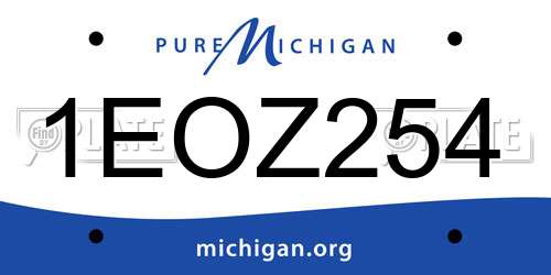 1EOZ254 Michigan License Plate