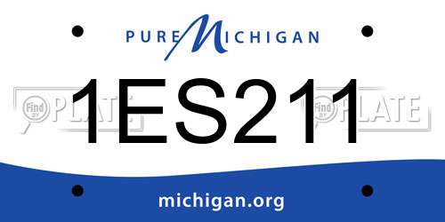1ES211 Michigan License Plate