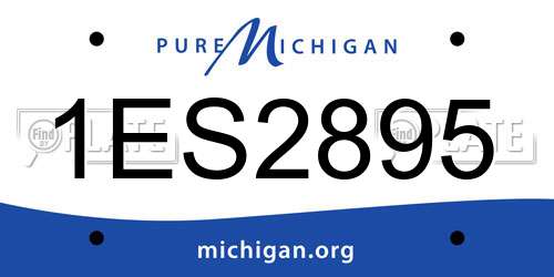 1ES2895 Michigan License Plate
